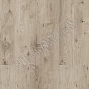 Клеевая пробка CorkStyle Wood oak grey