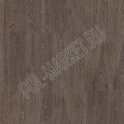 Клеевая пробка CorkStyle Wood oak rustic silver