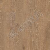 Пробковый паркет Corkstyle Wood XL Japanese Oak Graggy